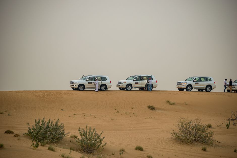 Desert safari