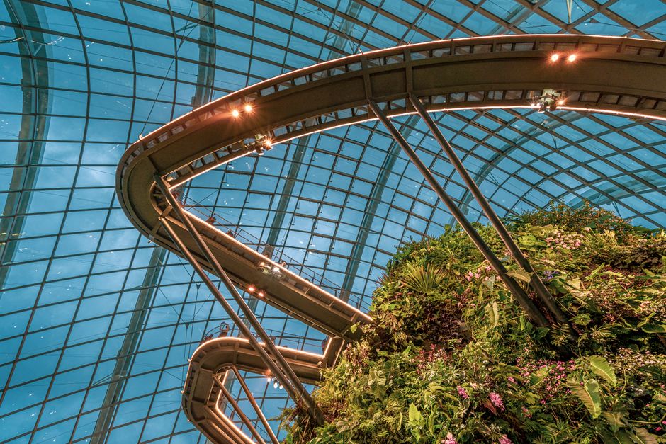 Explore the Gardens by the Bay's stunning floral displays