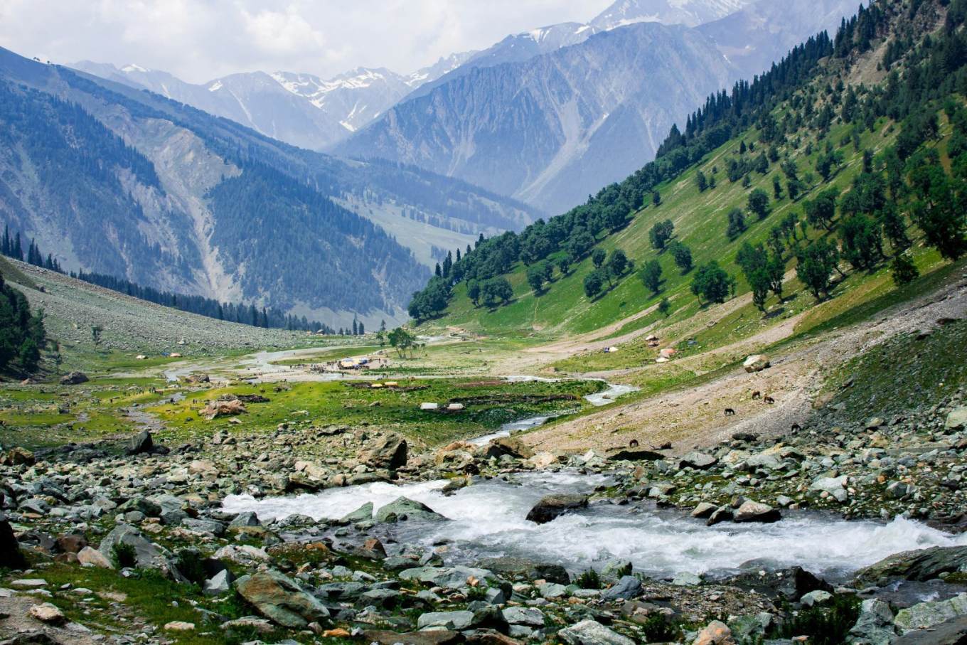 Kashmir Basic Packages