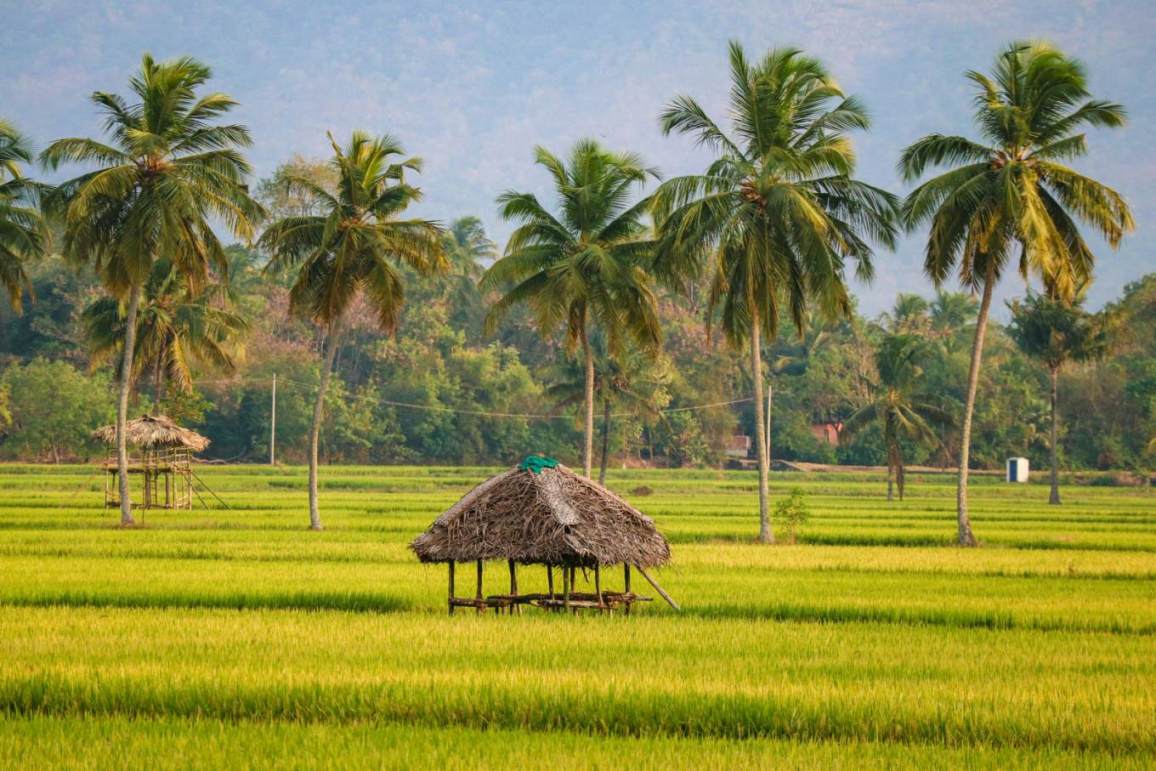 Kerala Deluxe Packages