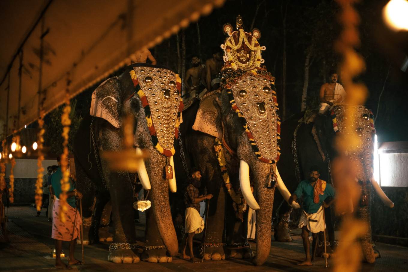 Kerala Deluxe Plus Packages