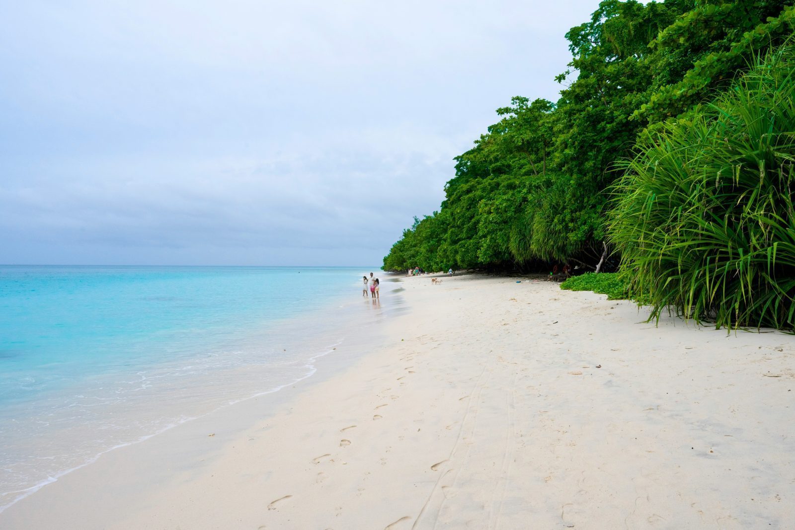 Andaman Basic Packages