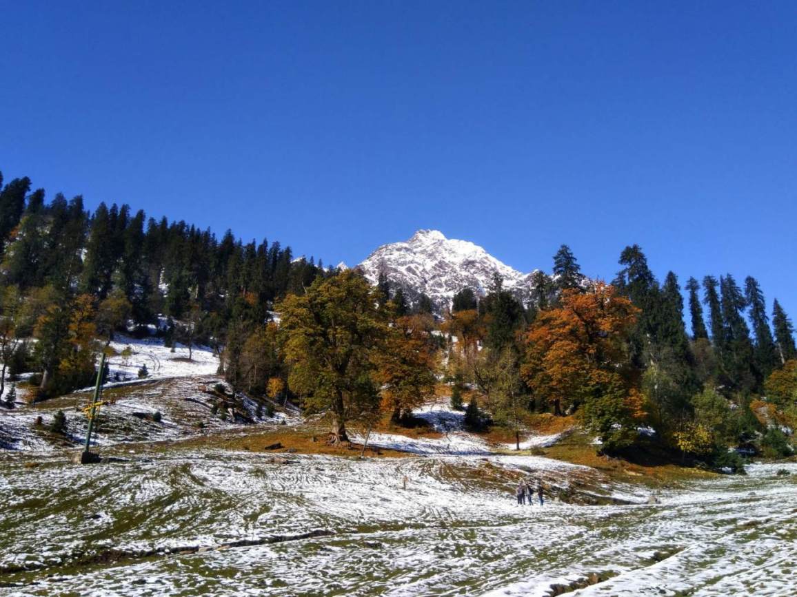Himachal Pradesh Basic Packages