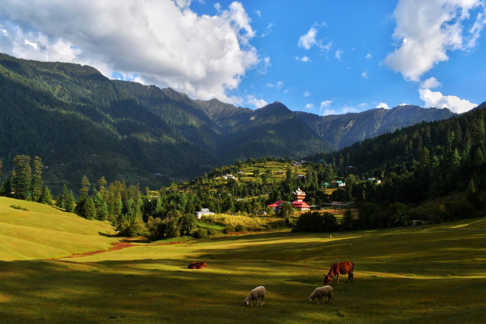 Himachal Pradesh Basic Packages